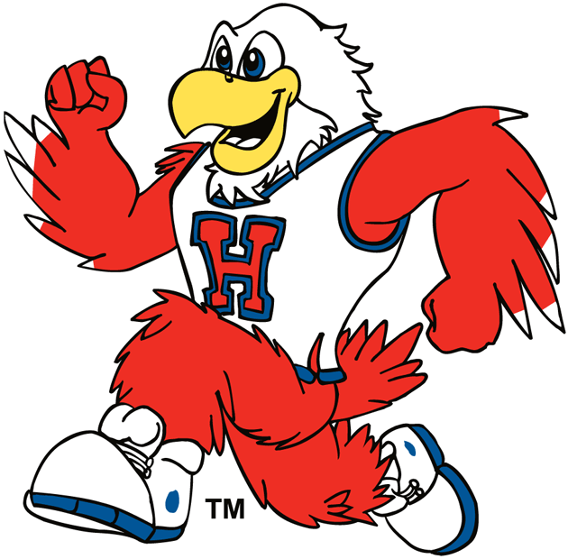 Hartford Hawks 1984-Pres Mascot Logo diy fabric transfer